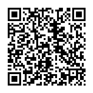 为什么只有他一个人要面临妮娜的怒火――他这次真的是无辜的那个呀二维码生成