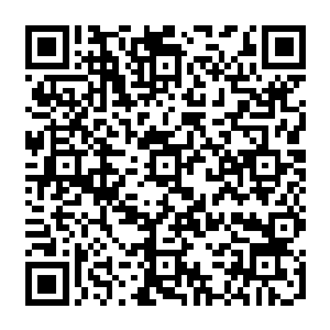 为什么多米尼克他们睡眠的质量这么好我看到他们随便找个地方没有两分钟就能睡着二维码生成