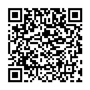 为什么怎么到现在还没开门……难道里面已经没有活人了二维码生成