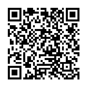 为什么总是因为他随便的一句话和随便一个举动而感动呢二维码生成