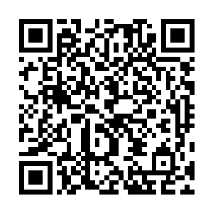 为什么现在会有这样的变化……这是他们百思不得其解的二维码生成