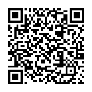 为什么眼睁睁的看着我去抢而丝毫没有任何的动作呢二维码生成