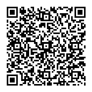 为什么要给桓老太爷下毒为什么要给那两个无辜的孩子下毒为什么要嫁祸南宫夫人和我是谁指使你这么干的二维码生成