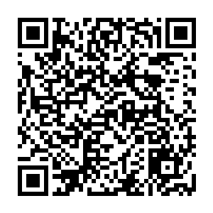 为什么这座明明被他们控制在掌心的岛屿中会忽然出现这么多可怕的生物二维码生成