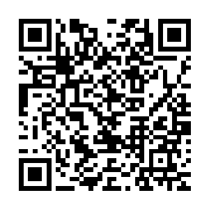 为他们自己的家族去解决一下用正常的办法不太好解决的问题二维码生成