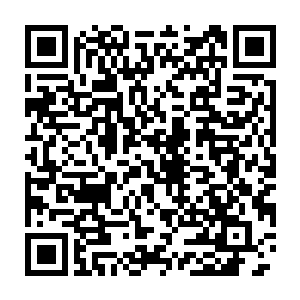 为他那强壮无比的体型为他背后的那口可怕的门板似的巨剑感到震惊二维码生成