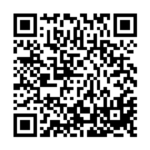 为何一开始他们问这位贵客就是负责采买金宝珍珠的大人时二维码生成