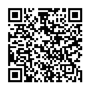 为何凤岭王朝的二王子会主动挑衅一个世俗界飞升来的武者二维码生成