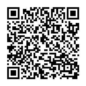 为何只有神级机甲被称为人类世界的终极武器……让他们惊惧的皇级机甲二维码生成