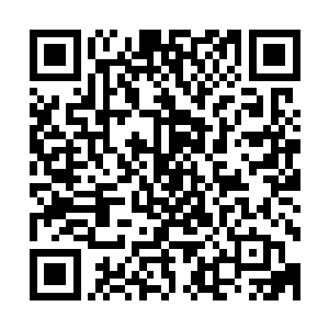 为何说一个冰原矿岛足以托起妖界或者仙界的任何一个家族了二维码生成