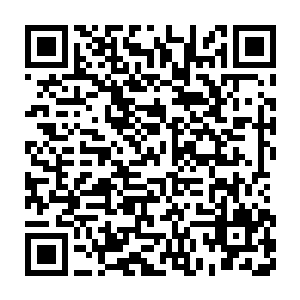 为何钢铁雄心当中会把部队的组织度而不是士气作为重要衡量指标二维码生成