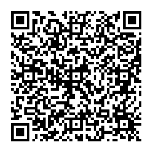为此还特地查阅了一下一些顶级翡翠的价格……就眼前的这一个坠子上的玻璃种帝王绿的凤凰二维码生成