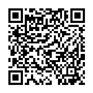为毛我在他们身上感觉到的气息根本分辨不出碧血莲的气息~二维码生成