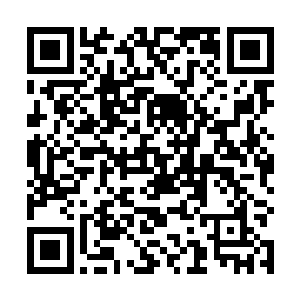 为身下和身后的诸多海族挡下了无数炮火和能量的攻击二维码生成