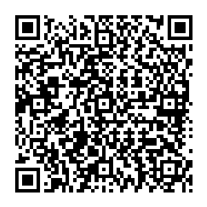 为这不小心发现的秘密感到一股寒意----却是当时坐在元氏旁边为难殷暖的殷家二郎君殷照二维码生成