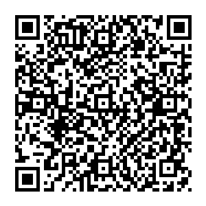 为那些上战场的健儿提供信息资料以及作战计划――如果我也和龙老这样动不动就发火一言不合就要和人大打出手二维码生成