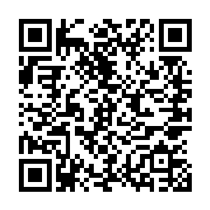 为首道行会会长青芒扫视了一眼道行会陨落的数名天仙修士二维码生成