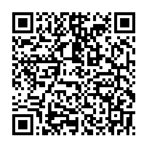 主人……你的农场空间……是可以随着你进入到任何任务剧情世界的二维码生成