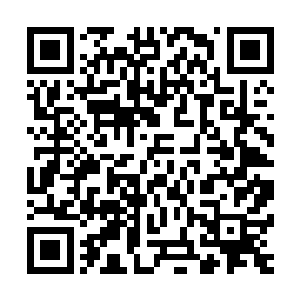 主人刚才说他这点实力他根本不放在眼里没有半点夸张的成分二维码生成