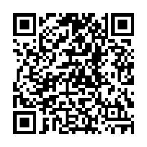 主公评价过这是一种基于成本和效益平衡的统治原理二维码生成