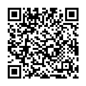 主办方跟两支乐队商讨动力火车松江演唱会时的一些细节二维码生成