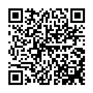 主子为何不让属下去打探打探那端木安国到底藏在什么地方二维码生成