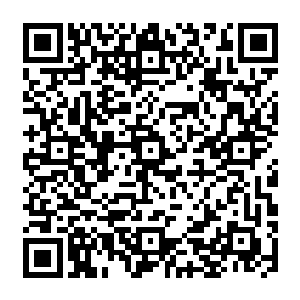 主意很简单让土狗这几个拿着水澡甚至是直接用这些船的网把这些船的螺旋桨都给缠起来二维码生成