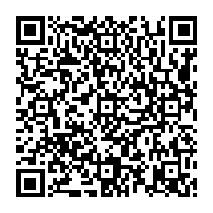 主演什么的我没太多的权力决定不过让玛姬她们跑个有台词龙套什么的还是办的到的……二维码生成