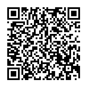 主管城建的副市长江宗武和招商引资副市长范中伟随同自己前往湖西宾馆二维码生成