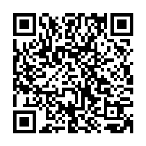 主要是他们的眼睛全都几乎定格在那些法部弟子身上的法宝上了二维码生成