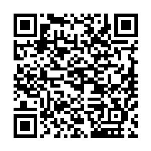 主要是因为我先前的时候错误的估计了我和丁羽之间的位置二维码生成