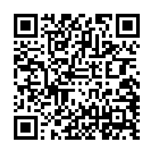 主要是因为轮回武意已经慢慢跟不上林铭的实力增长速度了二维码生成