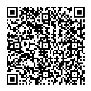 主要用于执行远洋作战任务并为未来的俄罗斯海军大型舰队或者计划中的未来大型航母编队护航二维码生成