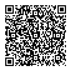 主要的优势便是他的经脉和真气精度都被他用绝品灵药金龙涎强化过了……这才可以比同级别的高手二维码生成