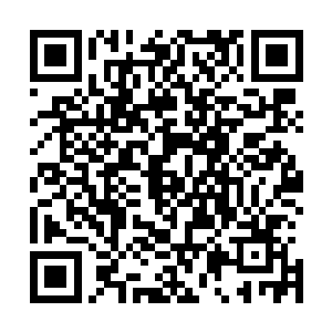 丽丽虽然在看到果果和他们之间的异样后就明白了一些什么二维码生成