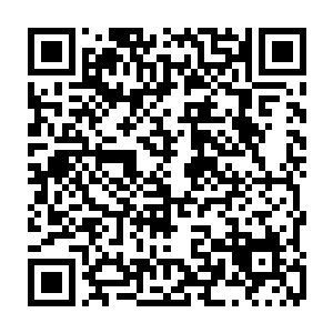 丽娜跟库尔尼科娃两个不会说华语的洋妞正惊讶娜塔莎母女捞红包的手法时候二维码生成