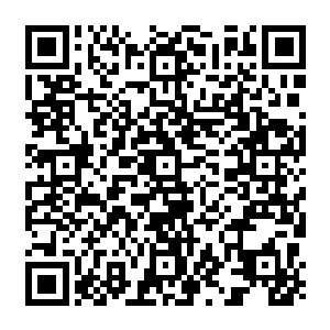 举起手中的铁锤便是朝着一位朝着秦满和秦枫两兄弟追去的巨龙宫的一位老者砸下去二维码生成