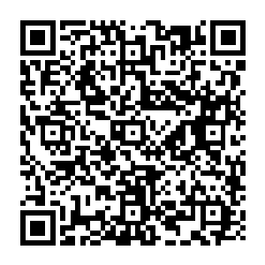 乃是阴阳派内如此发达的情报系统居然没有介绍过如今修武界内还有能和自己抗衡的修士二维码生成