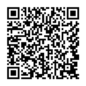 乃至于是一切的一切的恐怖痛苦也开始在他们的体内和识海内席卷起来二维码生成