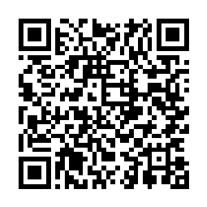 乃至融为己有的威能满打满算都不足轮回果全部威能的半数二维码生成