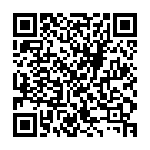 之中朴实却细腻的演出拿到了自己演员生涯的首座影帝小金人二维码生成