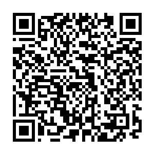 之前不出手他也不过是想要测试一下真界的威力如今他心头已经有了一个底二维码生成
