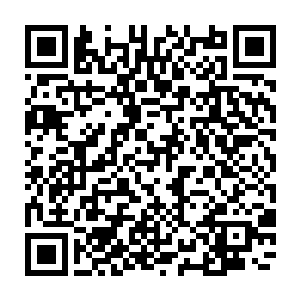 之前他们没少听到金在珉坐在自己咖啡店里望着街上的行人发呆这样的传闻二维码生成