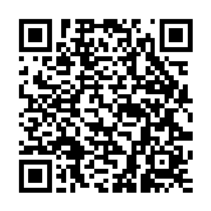 之前他们错误的认为lcd这个阵容会被王族的后期收割体系完爆二维码生成