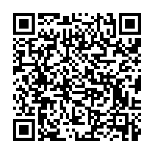之前和你通过电话邀请你回芝安市来的……请你将现在的具体情况播报给我……二维码生成