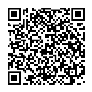之前和南希博士通话的盖文心事重重的又一次拨通了加密内线电话二维码生成