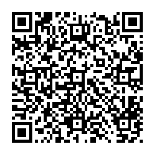 之前因为担忧澹台璃我的心绪不安因为咕仔和冯二蛋以及小舞的这一打岔淡化不少二维码生成