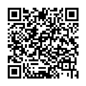 之前在松山书院门口不应该不顾你们的意愿强逼你们回来二维码生成