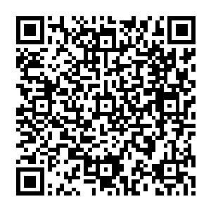 之前在海域之中小金因为吴虎臣强行的超载使用紫气而使得小金也受到了极大的损伤二维码生成
