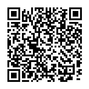 之前墨墨你还因为易红仙人定要跟着我而怀疑他对我是不是有不轨之心二维码生成